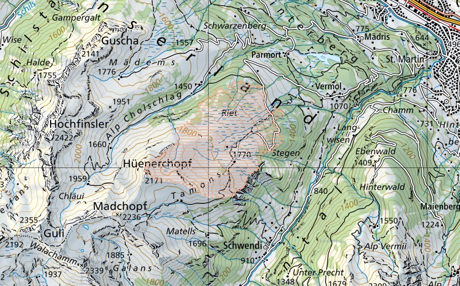 Landeskarte swisstopo mit dem Schutzperimeter von Riet/Tamons (Moorlandschaft)