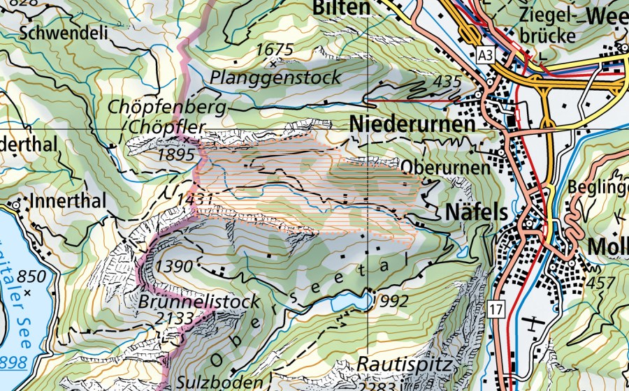Carte nationale swisstopo avec le périmètre protégé de Schwändital (Paysage marécageux)