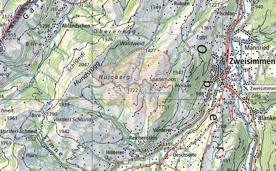 swisstopo national map showing the protected perimeter of Sparenmoos/Neuenberg (Mire landscape)