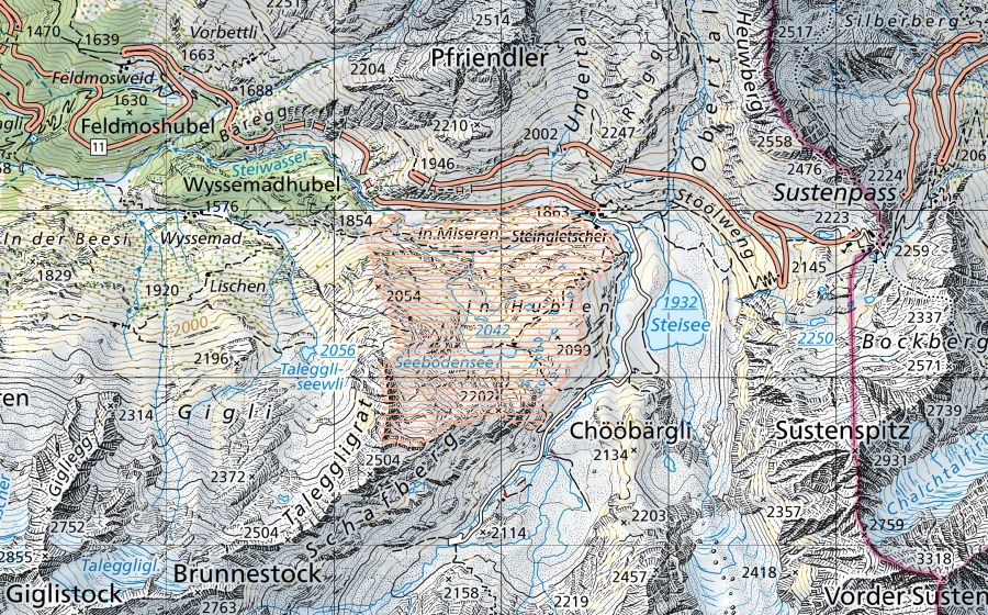 Carta nazionale swisstopo con il perimetro protetto di Steingletscher (Paesaggio palustre)