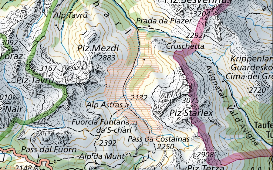 swisstopo national map showing the protected perimeter of Tamangur (Mire landscape)