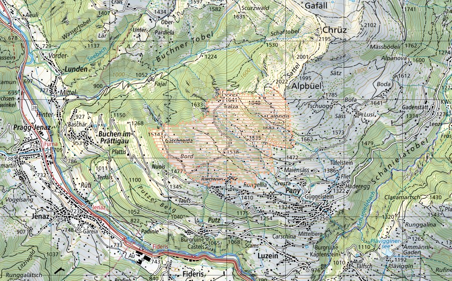 Carte nationale swisstopo avec le périmètre protégé de Tratza-Pany (Paysage marécageux)