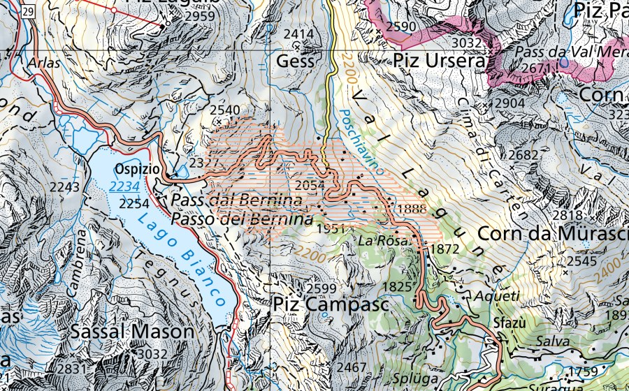 Carta nazionale swisstopo con il perimetro protetto di Val da Campasc/Passo del Bernina (Paesaggio palustre)