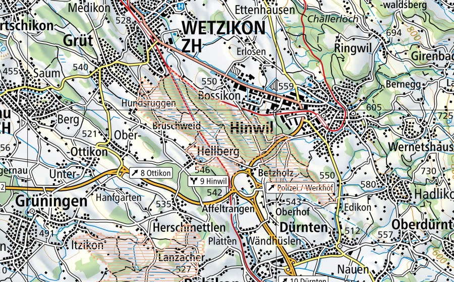 Carta nazionale swisstopo con il perimetro protetto di Wetzikon/Hinwil (Paesaggio palustre)