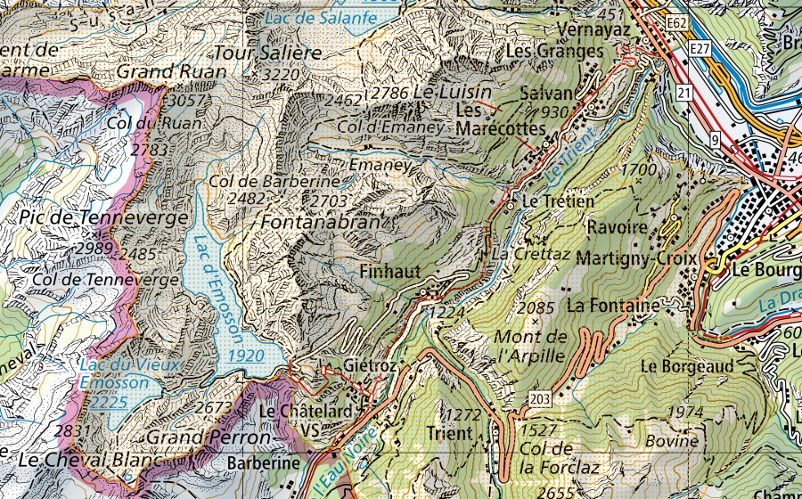 Carta nazionale swisstopo con il perimetro protetto di Parc naturel régional de la Vallée du Trient (Parco d’importanza nazionale)