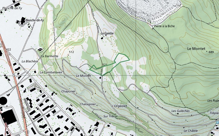 Landeskarte swisstopo mit dem Schutzperimeter von A la Combe (Naturschutzgebiet)