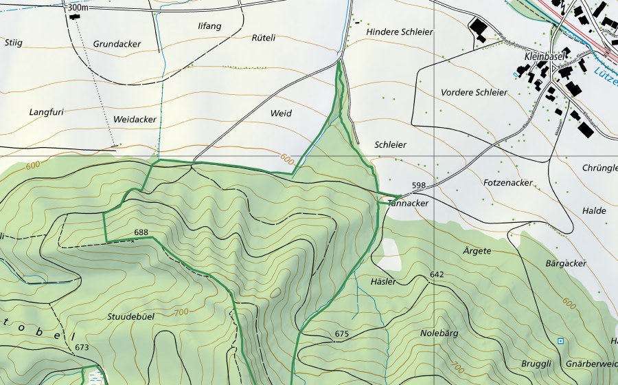 swisstopo national map showing the protected perimeter of Aadorf Burstel (Nature reserve)