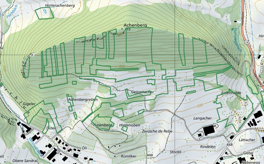 Carta nazionale swisstopo con il perimetro protetto di Acheberg, Judenhalde, Reben (Riserva naturale)