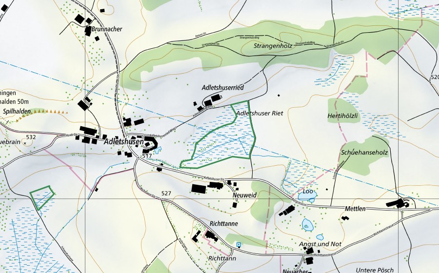 swisstopo national map showing the protected perimeter of Adletshuserried (Nature reserve)