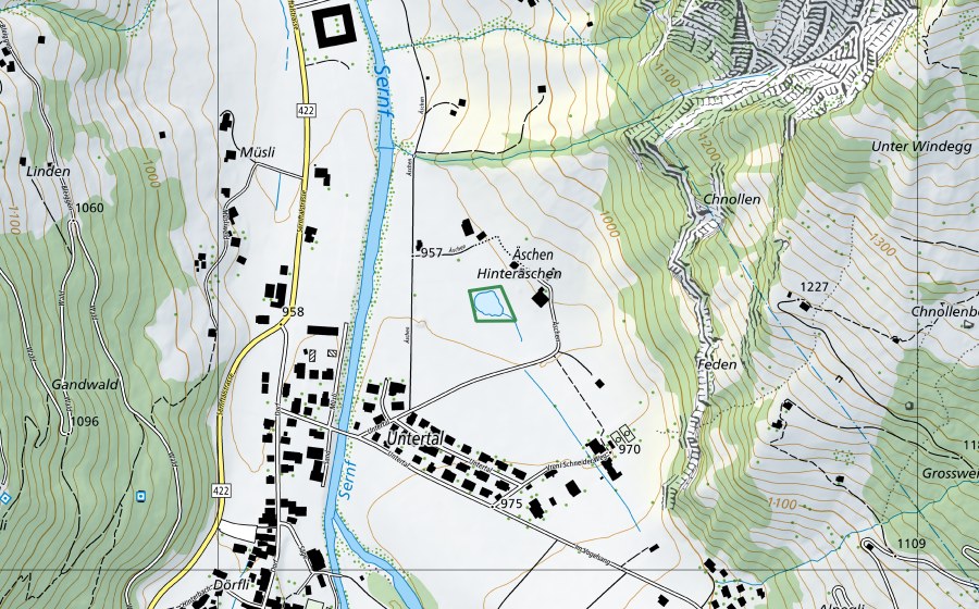 Carta nazionale swisstopo con il perimetro protetto di Aeschensee (Riserva naturale)