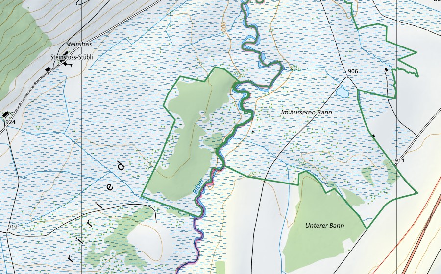Landeskarte swisstopo mit dem Schutzperimeter von Ägeriried (Rothenthurm) (Naturschutzgebiet)