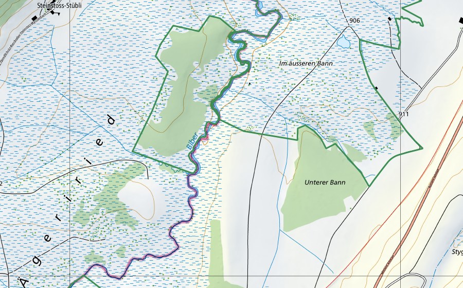 swisstopo national map showing the protected perimeter of Ägeriried (Rothenthurm) (Nature reserve)