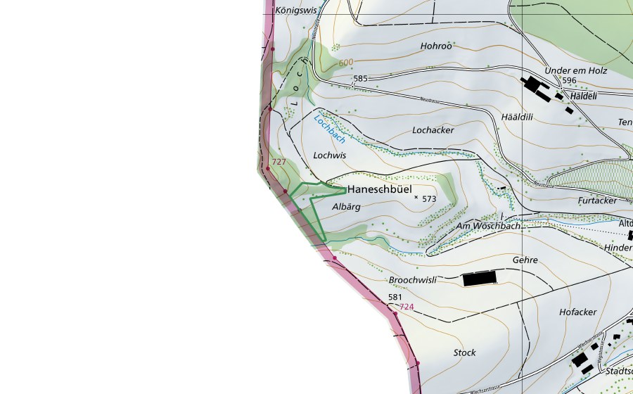 Carte nationale swisstopo avec le périmètre protégé de ​Albärg (Réserve naturelle)