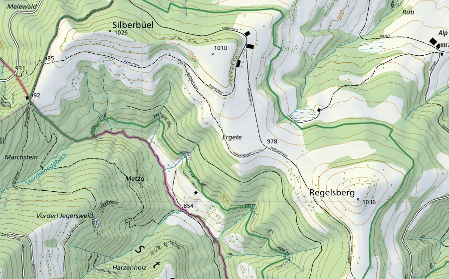 Carte nationale swisstopo avec le périmètre protégé de Alp Ergeten (Réserve naturelle)