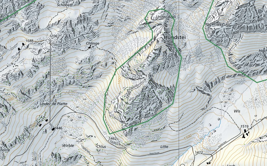 Carta nazionale swisstopo con il perimetro protetto di Alp Flis (Riserva naturale)