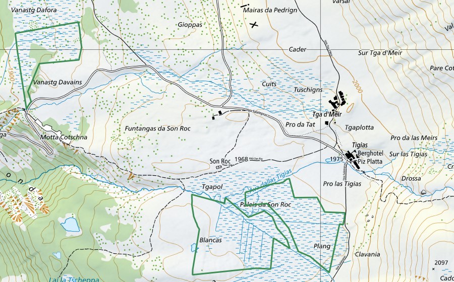 swisstopo national map showing the protected perimeter of Alp Flix/Sur, Bergwiesen (Nature reserve)