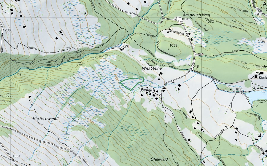 Carte nationale swisstopo avec le périmètre protégé de Alpbrüggli (Réserve naturelle)