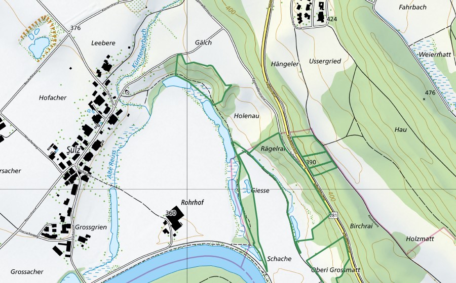 Carte nationale swisstopo avec le périmètre protégé de Alte Reuss (Réserve naturelle)