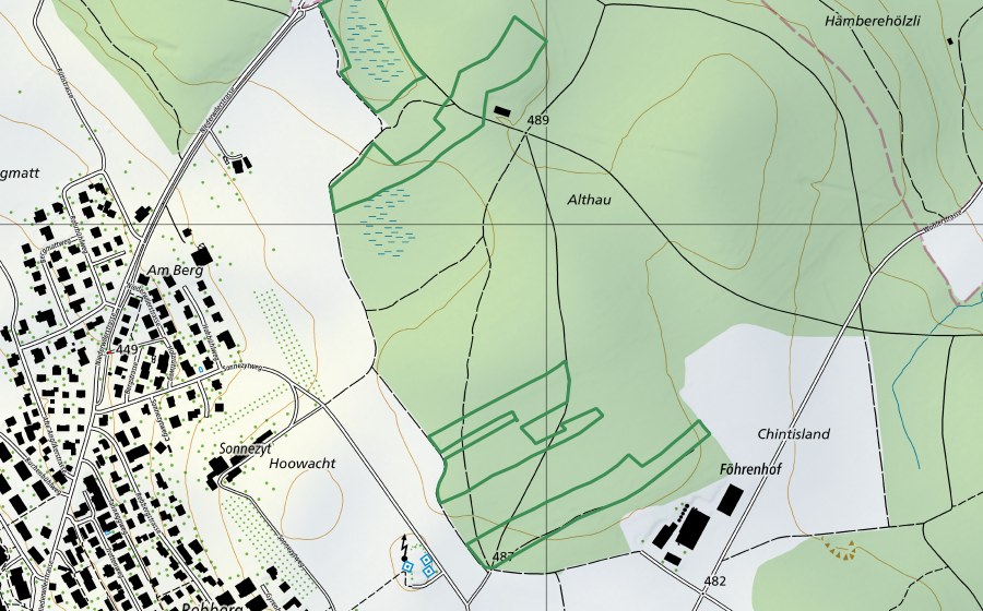 Landeskarte swisstopo mit dem Schutzperimeter von Althau (Naturschutzgebiet)