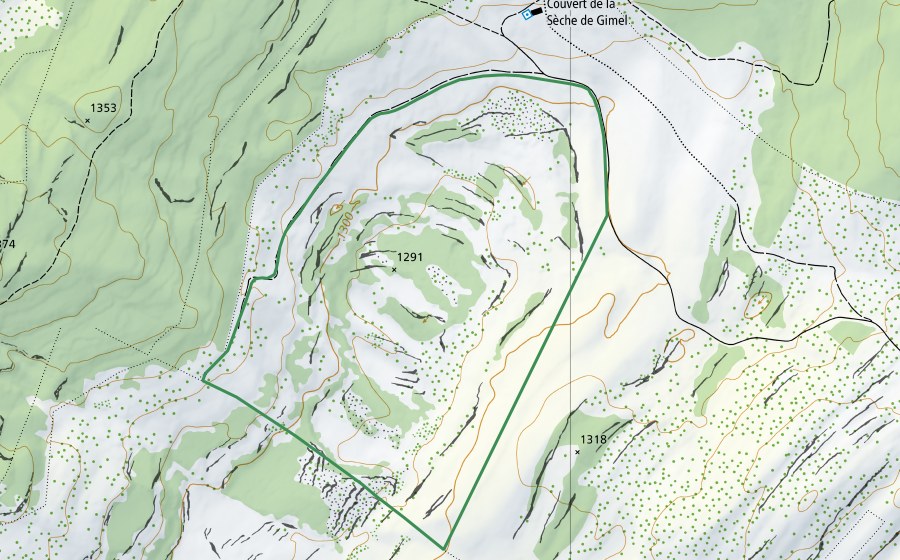Landeskarte swisstopo mit dem Schutzperimeter von Amburnex (Naturschutzgebiet)