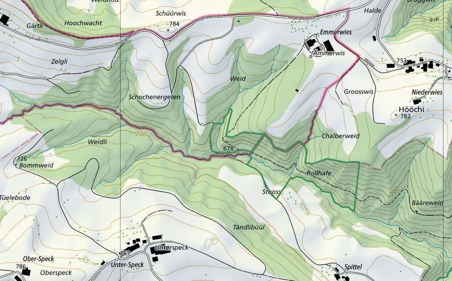 Landeskarte swisstopo mit dem Schutzperimeter von Ämmerwis (Naturschutzgebiet)
