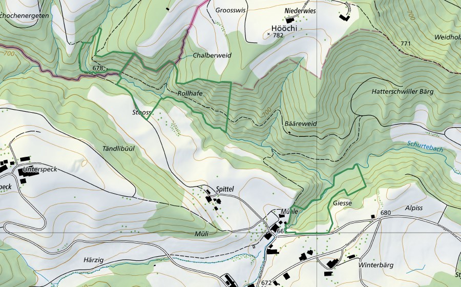 swisstopo national map showing the protected perimeter of Ämmerwis (Nature reserve)