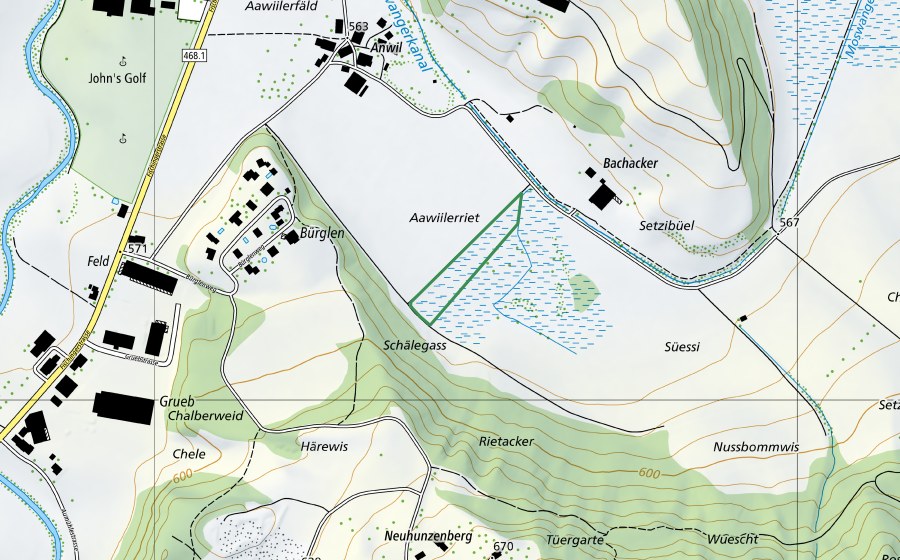 swisstopo national map showing the protected perimeter of Anwilerriedt (Nature reserve)
