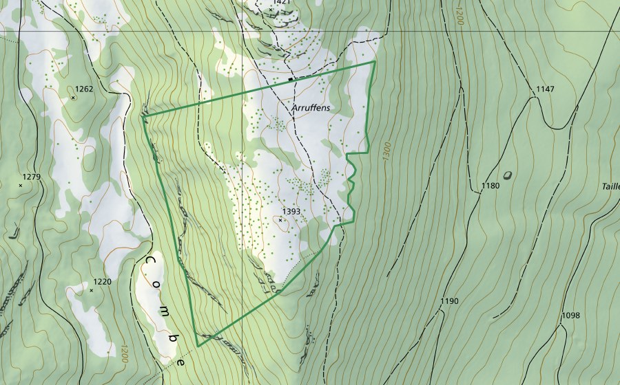 Landeskarte swisstopo mit dem Schutzperimeter von Arruffens (Naturschutzgebiet)