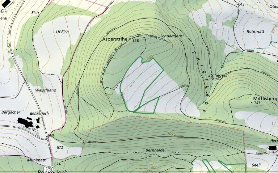 Carta nazionale swisstopo con il perimetro protetto di Asperstrihen (Riserva naturale)