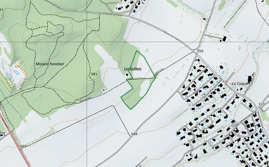 Landeskarte swisstopo mit dem Schutzperimeter von Au Chevry (Naturschutzgebiet)
