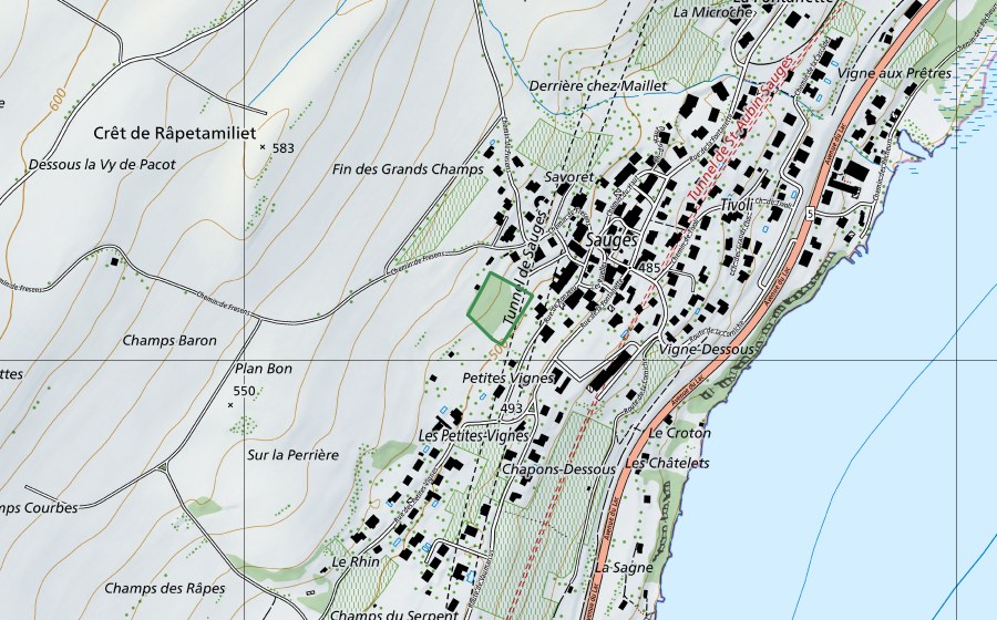 swisstopo national map showing the protected perimeter of Au Pré Rond (Nature reserve)