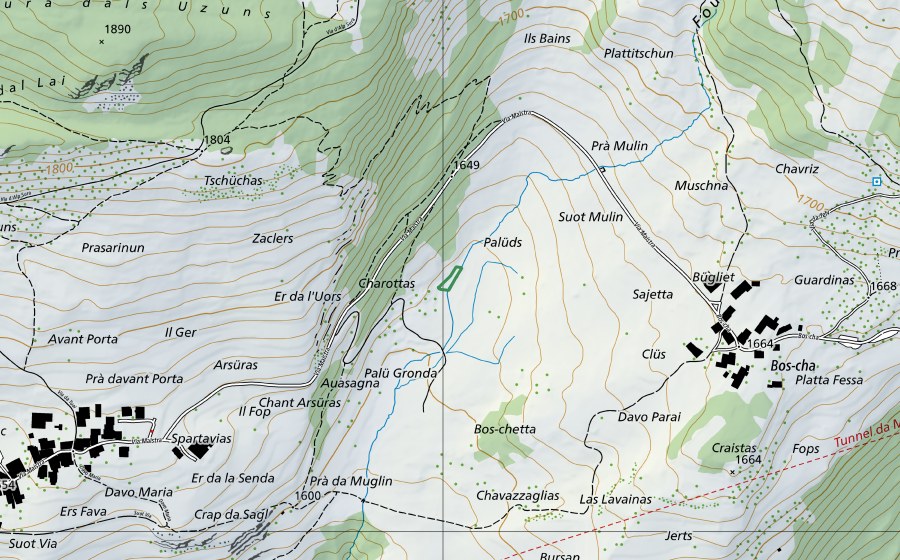 Carta nazionale swisstopo con il perimetro protetto di Auasagna (Riserva naturale)