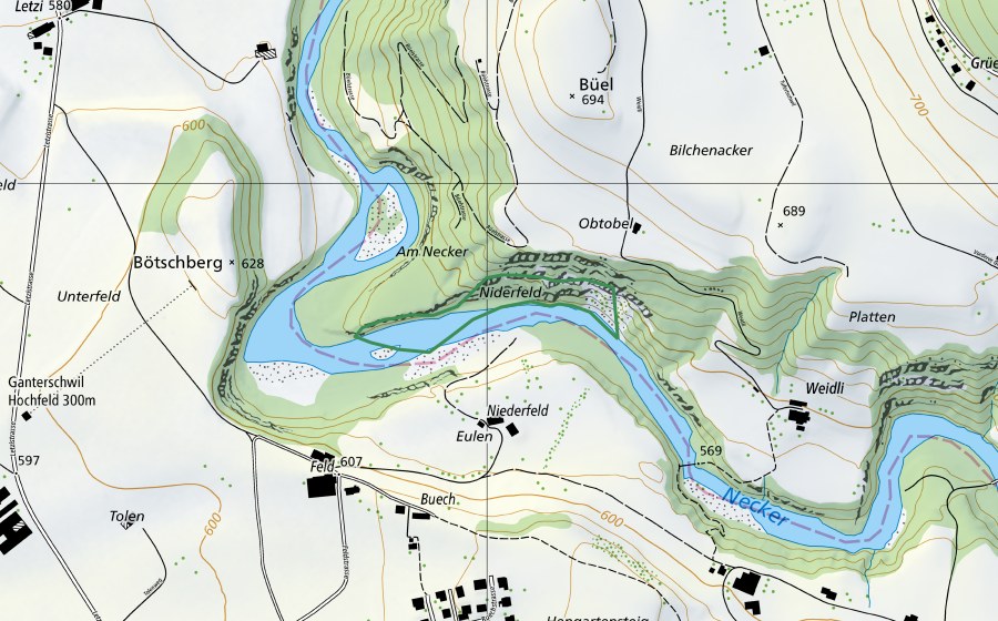 swisstopo national map showing the protected perimeter of Aue Neckertal (Nature reserve)