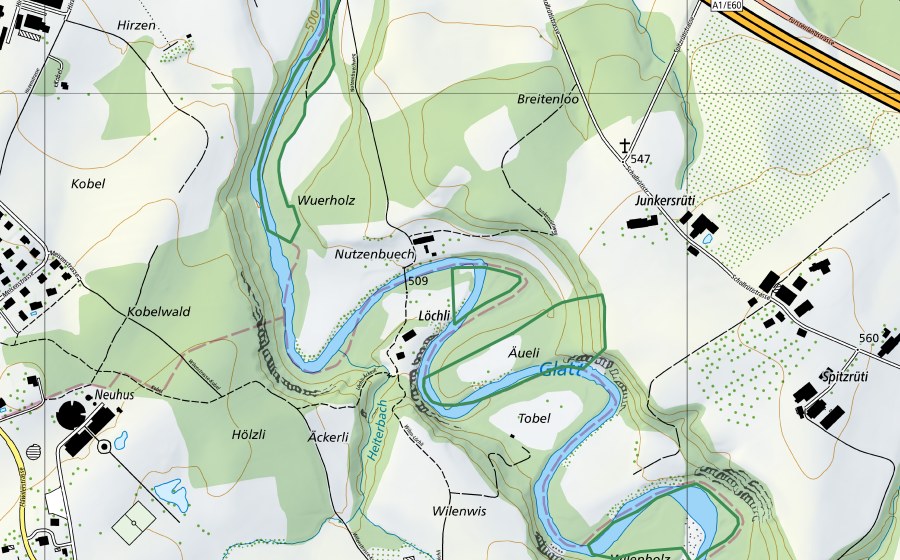 Landeskarte swisstopo mit dem Schutzperimeter von Auen an der Glatt (Naturschutzgebiet)