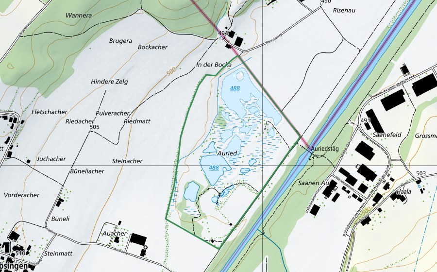 Carte nationale swisstopo avec le périmètre protégé de Auried (Réserve naturelle)