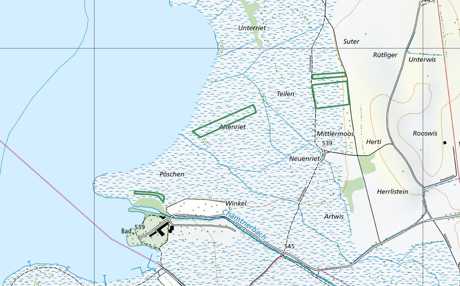 Carte nationale swisstopo avec le périmètre protégé de Auslikerriet (Réserve naturelle)