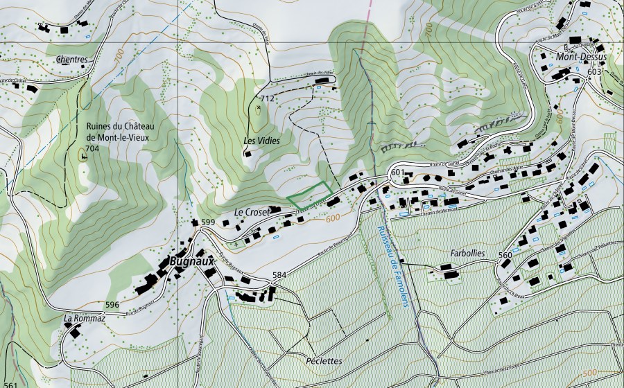 Carta nazionale swisstopo con il perimetro protetto di Aux Bugnaux le Croset (Riserva naturale)