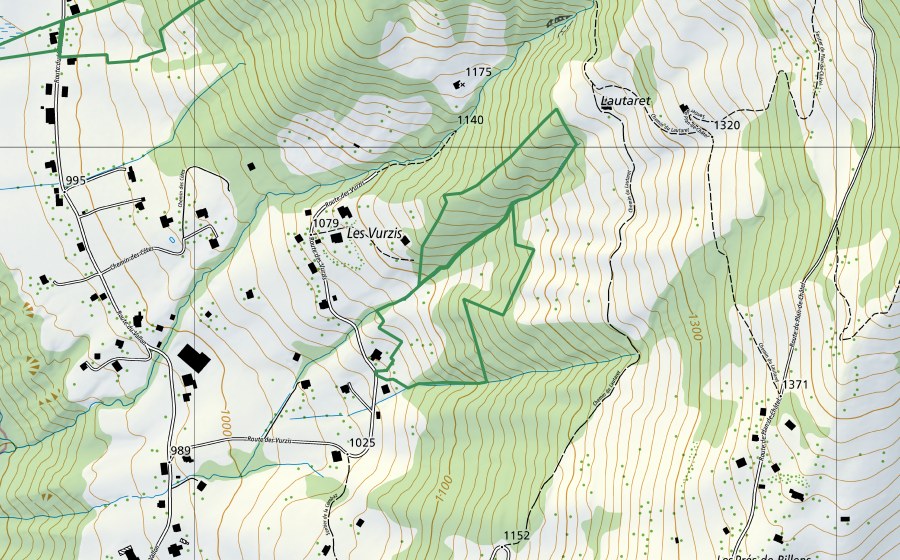 swisstopo national map showing the protected perimeter of Aux Vursys (Nature reserve)