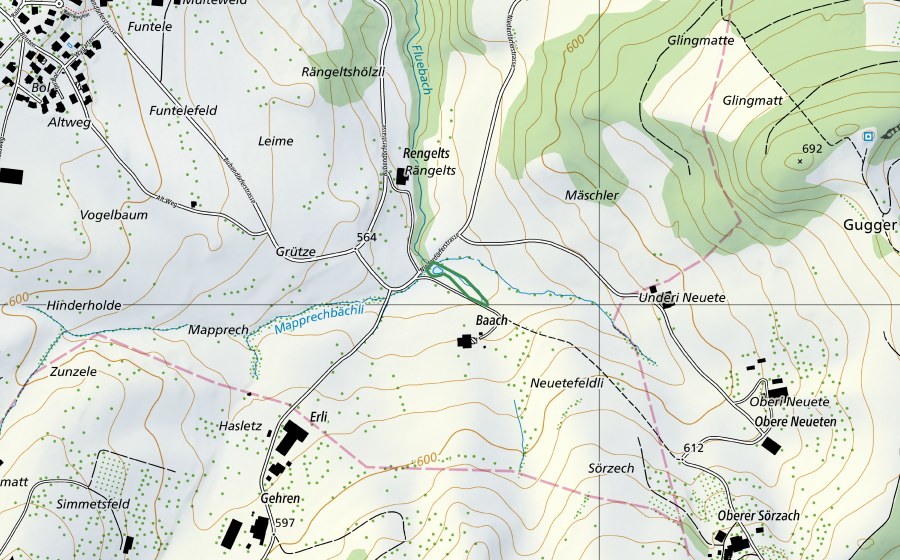 Carte nationale swisstopo avec le périmètre protégé de Baach (Réserve naturelle)