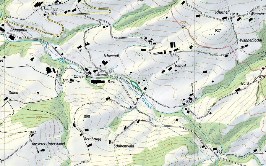 swisstopo national map showing the protected perimeter of Bach (Sägerei Niederer) (Nature reserve)