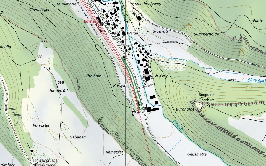 Landeskarte swisstopo mit dem Schutzperimeter von Bahnbord (Naturschutzgebiet)