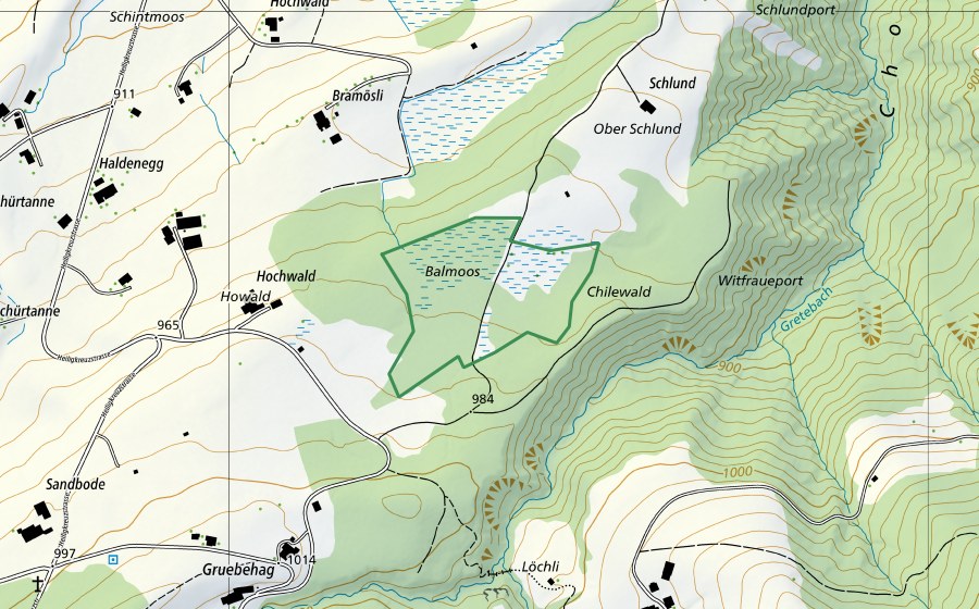 swisstopo national map showing the protected perimeter of Balmoos (Nature reserve)