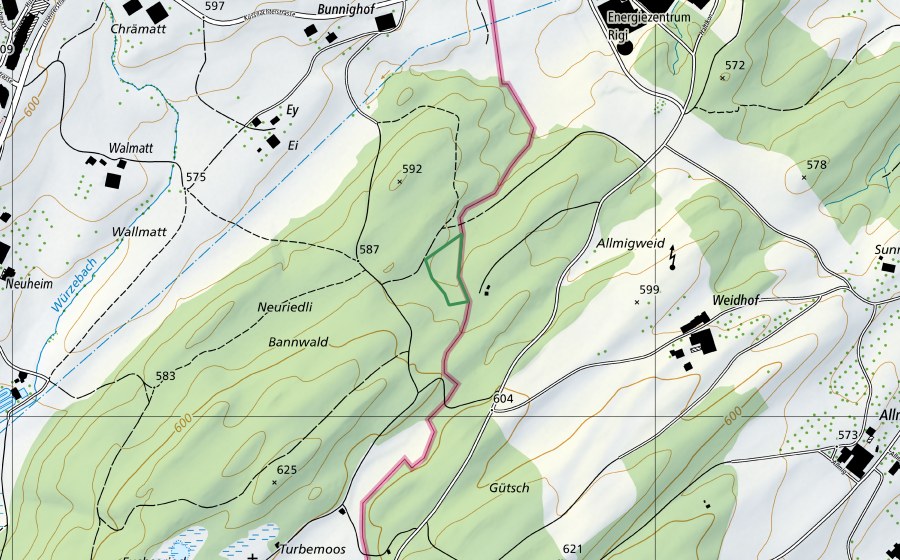 swisstopo national map showing the protected perimeter of Bannwald (Nature reserve)