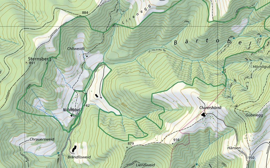 Landeskarte swisstopo mit dem Schutzperimeter von Bärtobel Hörnli (Naturschutzgebiet)