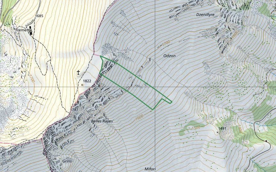 Landeskarte swisstopo mit dem Schutzperimeter von Belles Raies (Naturschutzgebiet)
