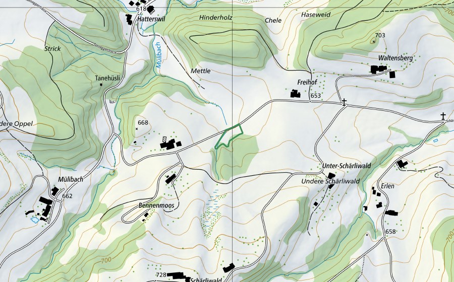 Landeskarte swisstopo mit dem Schutzperimeter von Bennenmoos (Naturschutzgebiet)