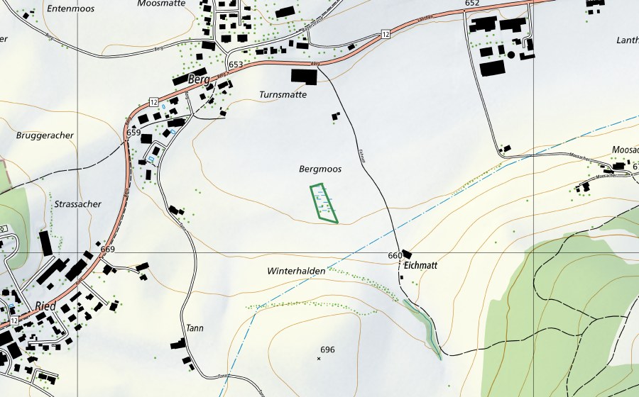Carte nationale swisstopo avec le périmètre protégé de Bergmoos (Réserve naturelle)