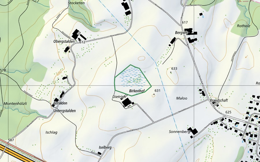 swisstopo national map showing the protected perimeter of Bergwies/Birkenhof (Nature reserve)