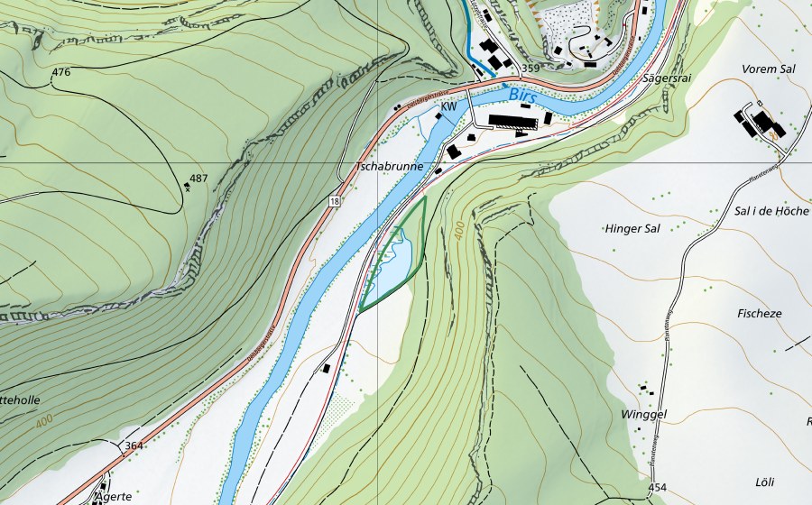 swisstopo national map showing the protected perimeter of Birshalde (Nature reserve)