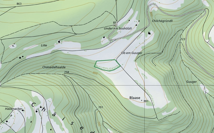 Carte nationale swisstopo avec le périmètre protégé de ​Blaase (Réserve naturelle)